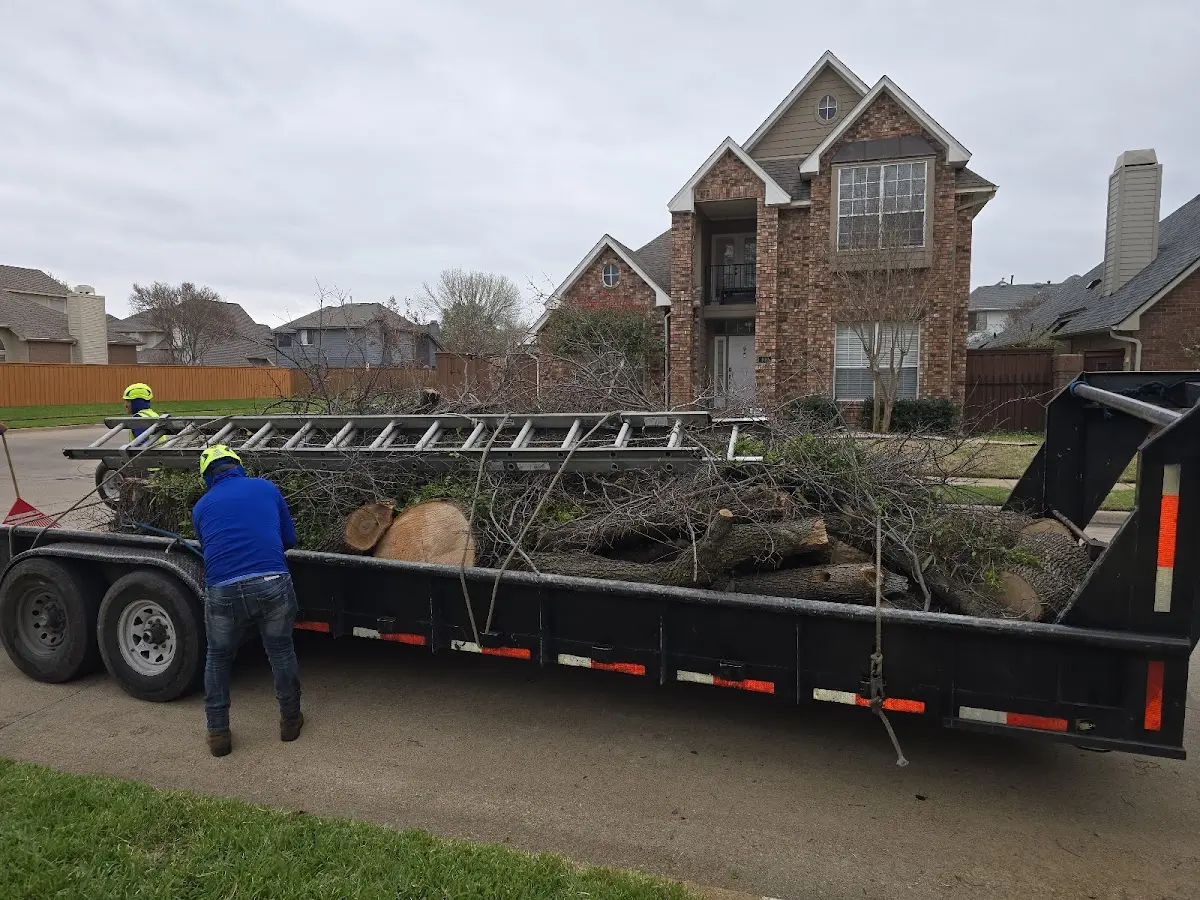 Expert Tree Pest Control with proper safety equipment in Hazel Park